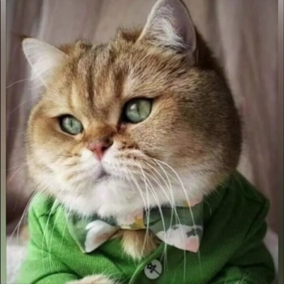 Welcome💕 - Picture 11 of 12